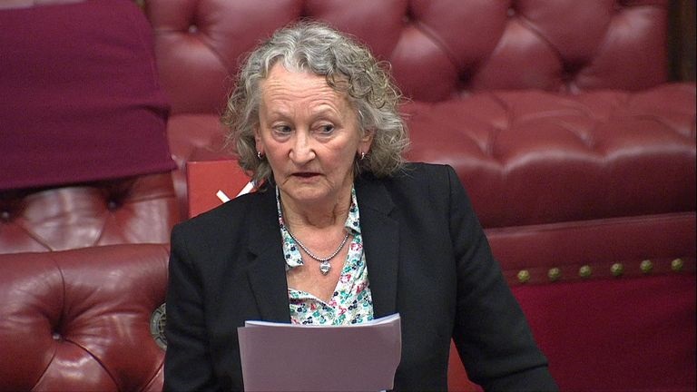 The Real Issue With Baroness Jones Suggesting a 6pm Curfew for Men